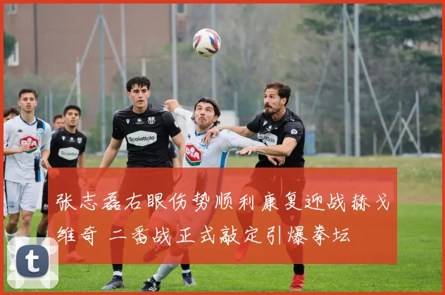 张志磊右眼伤势顺利康复迎战赫戈维奇 二番战正式敲定引爆拳坛