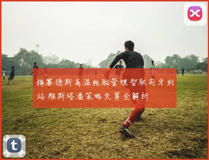 梅赛德斯高温轮胎管理智取匈牙利站 维斯塔潘策略失算全解析