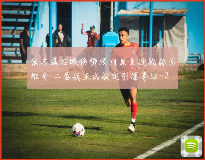 张志磊右眼伤势顺利康复迎战赫戈维奇 二番战正式敲定引爆拳坛