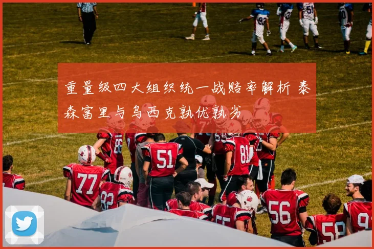 重量级四大组织统一战赔率解析 泰森富里与乌西克孰优孰劣